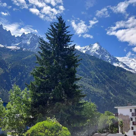 Cosy Avec Parking Et Animaux Admis, Proche Centre - Fr-1-517-21 Chamonix