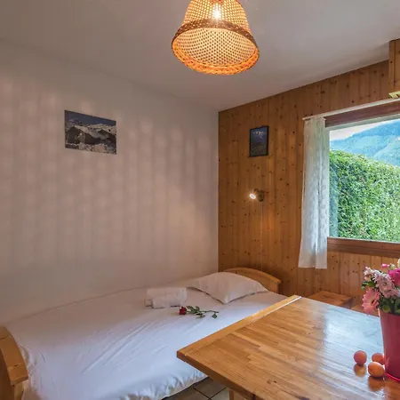Cosy Avec Parking Et Animaux Admis, Proche Centre - Fr-1-517-21 Chamonix